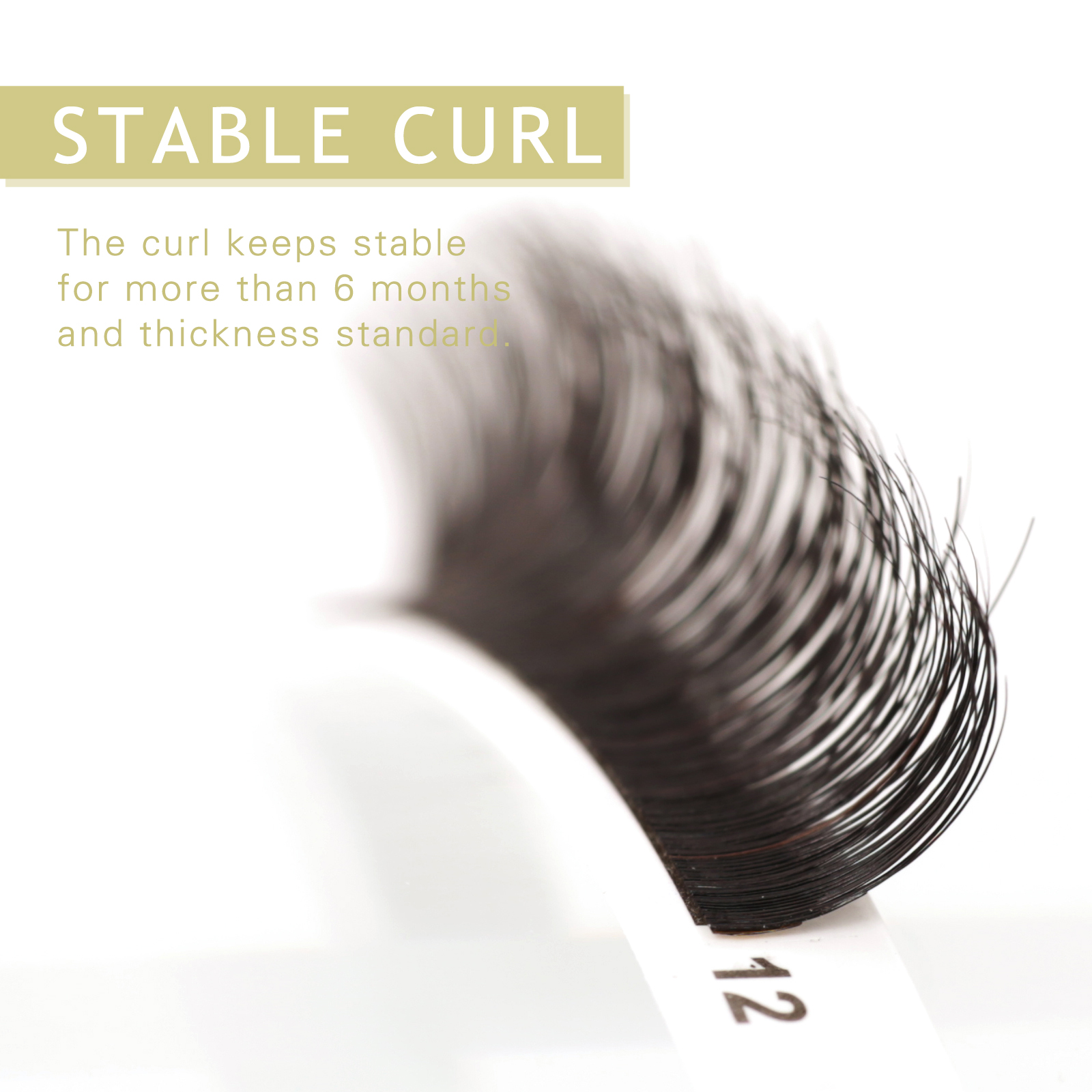 Stable curl.jpg